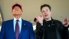 ¿Ya terminó la disputa entre Trump y Musk? Operaciones en Wall Street indican que es una paz frágil